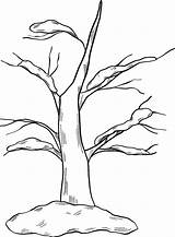 Winter Tree coloring Page  ColouringPages sketch template