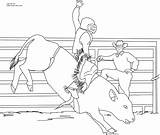 Bull coloring pages To Download And Print For Free sketch template