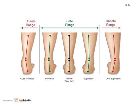 Pronation: Understanding How We Roll — Phila Massages