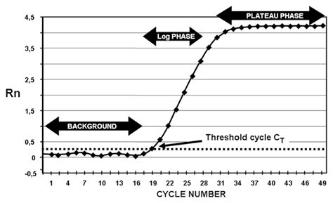 Draw of an amplification curve obtained by real time PCR. The Y axis is... | Download Scientific ...