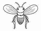 Cute Buzzing Bumblebee Coloring  Page sketch template