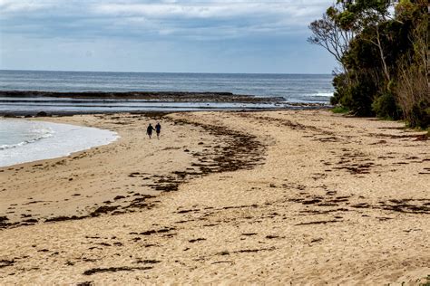 A quiet stroll on Mollymook beach, AU | Mollymook Beach is a… | Flickr