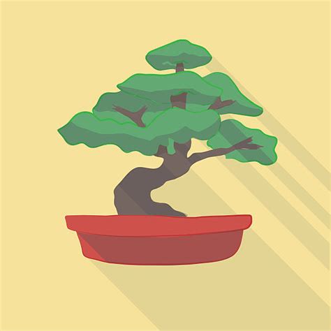 Royalty Free Bonsai Tree Clip Art, Vector Images & Illustrations - iStock