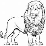 Lion Coloring Pages 27  Coloring Gem sketch template