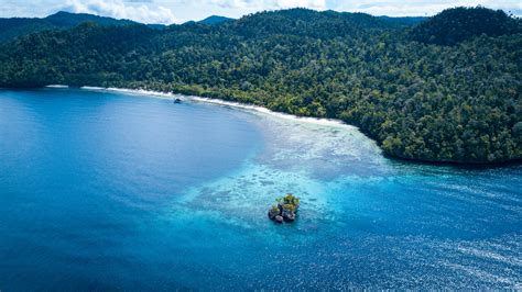 Raja Ampat Biodiversity Nature Resort | Home | Official Website