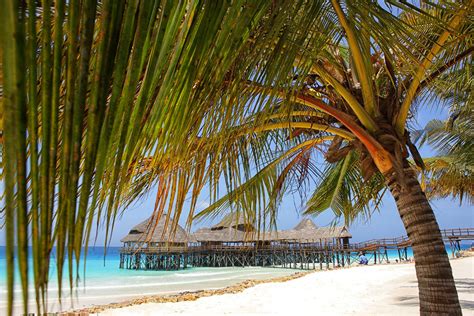 The Top 10 Beach Destinations in Tanzania | Top beach destinations, Destin beach, Top 10 beaches