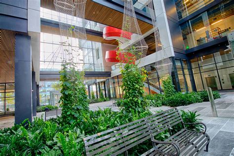 Webnet Creates Open Atrium for Boston Offices - Green Walls