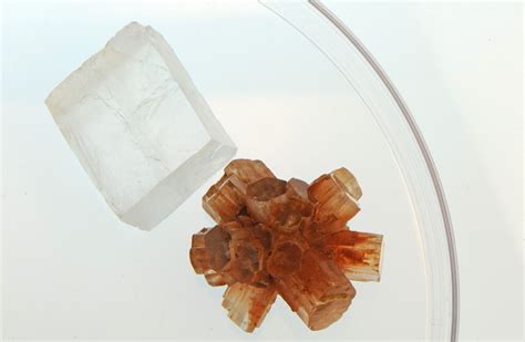 Mystery solved: Why seashells’ mineral forms differently in seawater ...