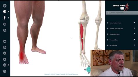 Toe Extensors, Trigger Points, & Chiropractic Care - El Paso, TX ...