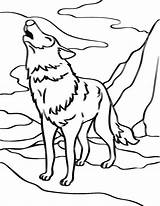 32 Majestic Wolf Coloring Pages For Kids And Adults sketch template