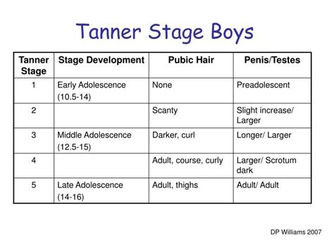 PPT - Obesity and Early Puberty PowerPoint Presentation - ID:4148449