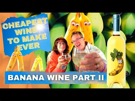 How to Make Wine from Fruit - Banana Wine Recipe - Cheapest Wine Ever ...