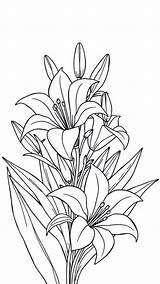 12 Free Printable Easter Lily Coloring Pages For Fun  Christ Hold Fast sketch template