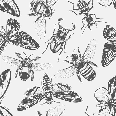 Vector Insects Seamless Pattern 2003866 Vector Art at Vecteezy