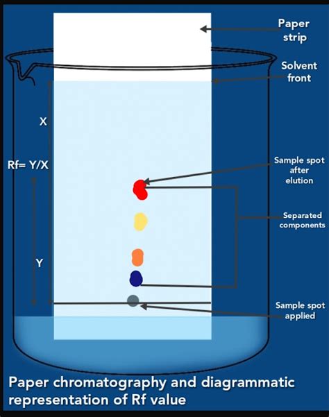 Separation techniques, chromatography its classification and paper chromatography, types of ...