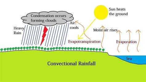 [DIAGRAM] Acid Rain Diagram Pathway - MYDIAGRAM.ONLINE