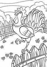 Dibujos de Gallo para colorear E Imprimir– ColoringOnlyCom sketch template
