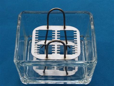 20 slide glass staining dish staining jar with cover for staining rack_Glass slide, Staining jar ...