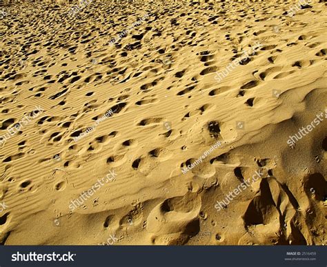 Close Up Detail Of Desert Sands In Scorching Sun Stock Photo 2516459 : Shutterstock