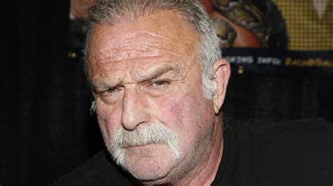 Why WWE Hall Of Famer Jake Roberts Isn't Surprised By Billy Jack Haynes ...