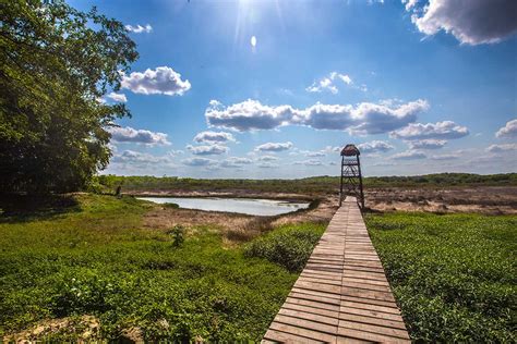 CALAKMUL BIOSPHERE RESERVE AND SURROUNDINGS - Boundless Roads