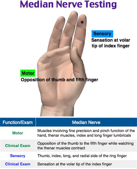 Pin on Helpful Nursing Stuff