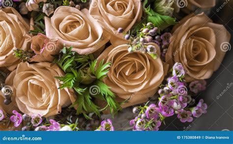 Beautiful Cream Flowers Bouquet Stock Image - Image of bloom, wedding: 175380849