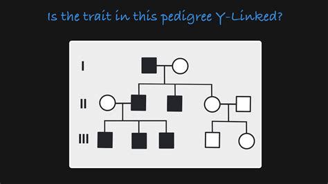 Y-Linked Traits in a Pedigree - YouTube