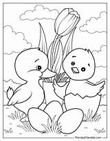 28 Cute Duck Coloring Pages Free PDF Printables sketch template