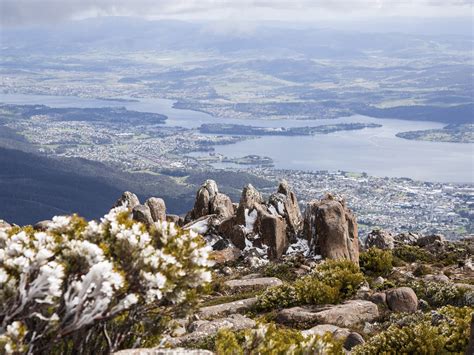 Careen Down Mount Wellington | Travel Insider