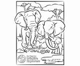 Coloring Page Elephant Family  San Diego Zoo Wildlife Explorers sketch template