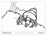Hermit Crab Shells Coloring Page sketch template