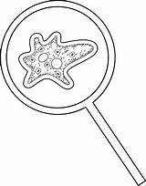 Coloring Page With Amoeba Under Magnifying Glass Isolated On White  sketch template