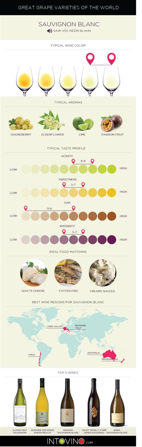 Everything you need to know about Sauvignon Blanc | Chenin blanc ...