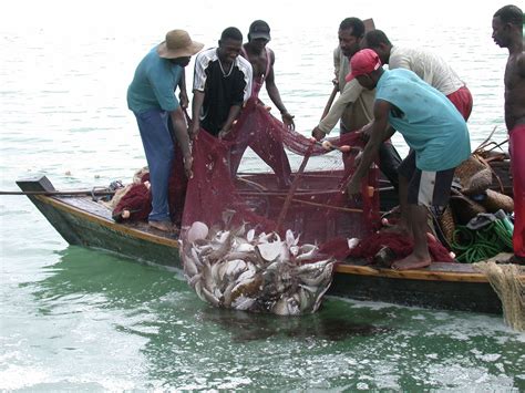 Jadikan Laut Masa Depan Bangsa, UI akan Menggelar Bedah Buku My Fish My ...