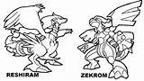 Zekrom Coloring Sheets Pages sketch template