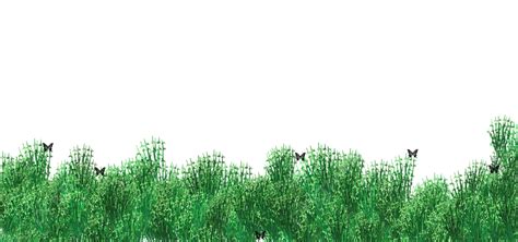Grass Background, Background, Green, Grass PNG Transparent Clipart Image and PSD File for Free ...