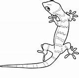 Cartoon gecko coloring pages Download And Print For Free sketch template