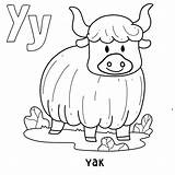 Premium Vector  Alphabet Animal yak For coloring With Word Hand Drawn sketch template