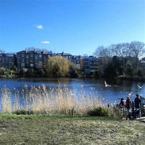 The ponds at Hampstead Heath, NW3 | London life, Hampstead heath, Natural landmarks