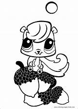 Littlest Pet Shop color Page  Cartoon Color Pages Printable sketch template