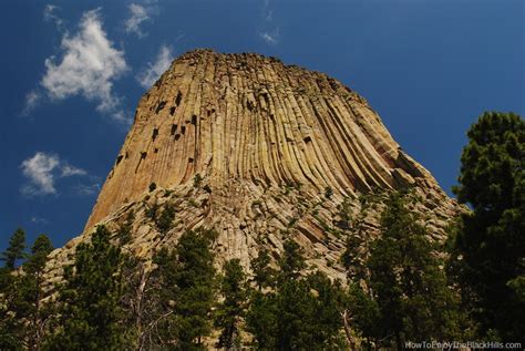 Devils Tower National Monument Wyoming