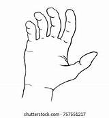 Coloring Hand Male Bent Fingers Palm Stock Vector Royalty Free  sketch template