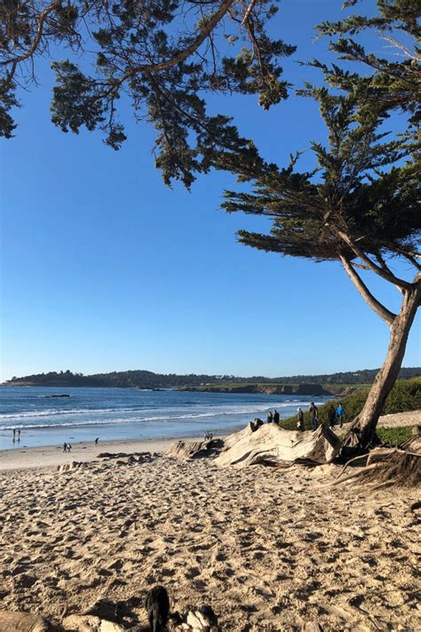 10 Interesting Things To Do In Carmel-by-the-Sea (2024) — Salt & Wind ...