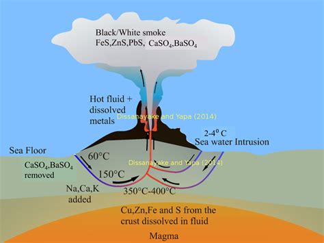 hydrothermal vent model