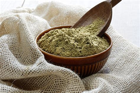 Ranking the best hemp protein powders of 2022