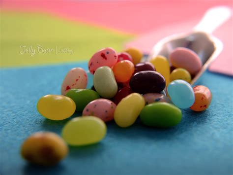 Jelly Bean by OCMay on DeviantArt