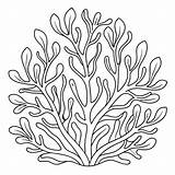 Seaweed Coloring Pages Sketch Of An Illustration  Premium AI Generated sketch template