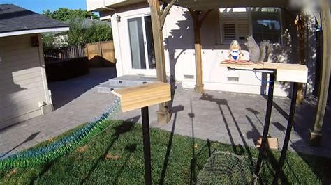 Former NASA Engineer Builds The Perfect Squirrel-Proof Bird Feeder And Watches Them Battle For ...