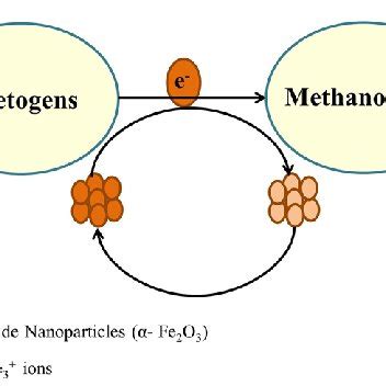 Schematic representation of mechanism for iron oxide (α-Fe 2 O 3 )... | Download Scientific Diagram